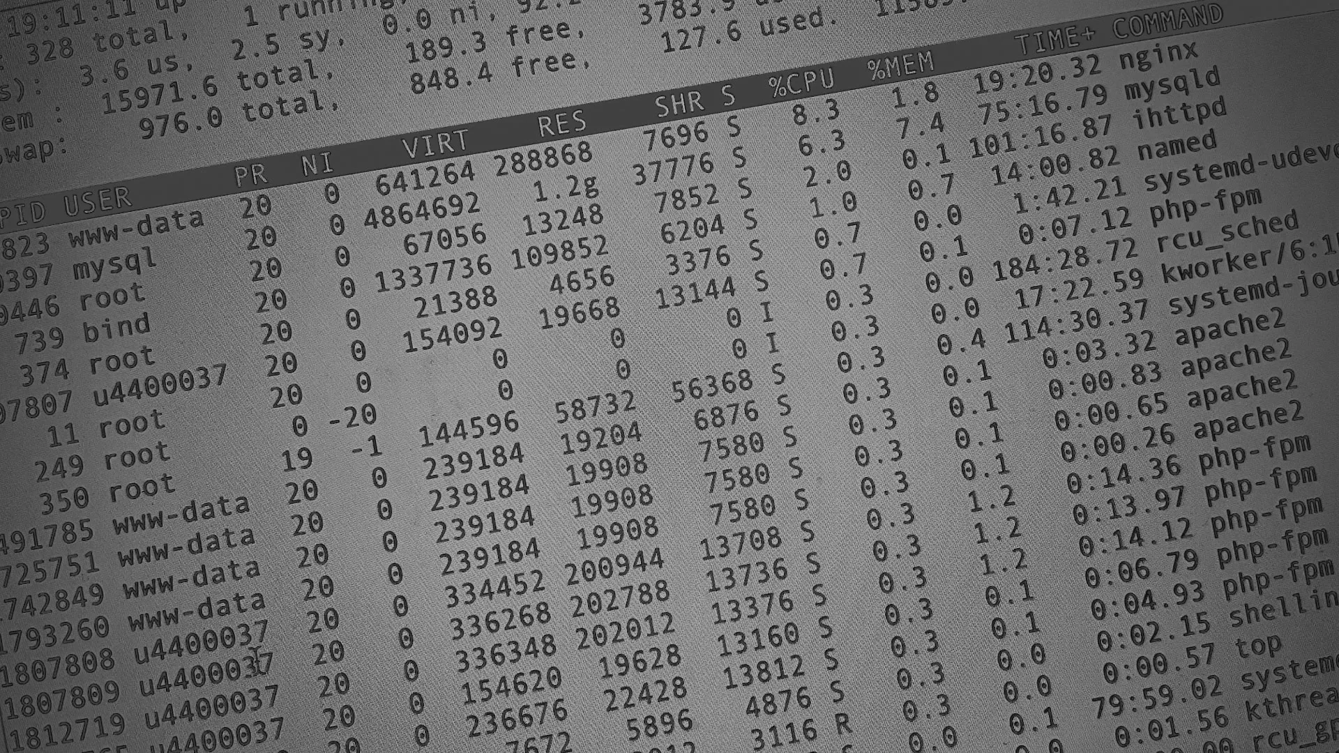 Настройка сервера в Дюртюли Настройка сервера в Дюртюли